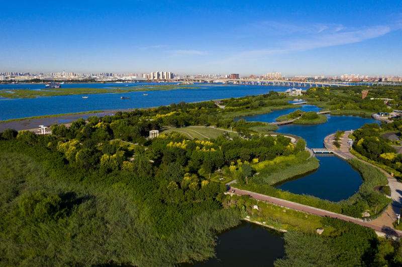 远眺永定新河口湿地。中新天津生态城管委会供图